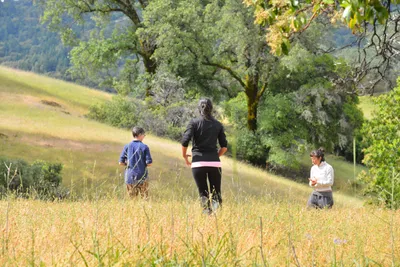 DSC_6829 (Large).JPG